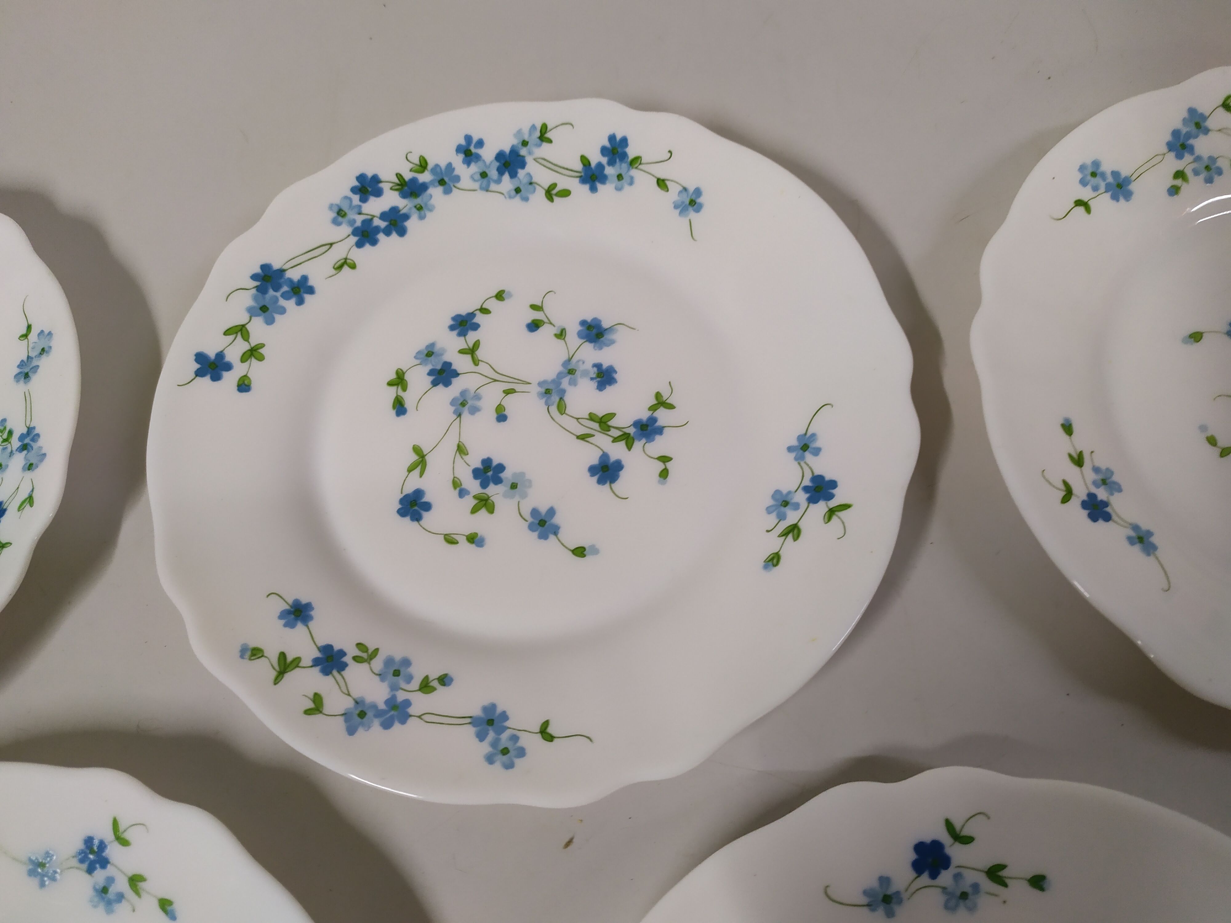 5 Desserts ARCOPAL Véronica Myosotis Vintage Blue Flower