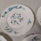 5 Desserts ARCOPAL Véronica Myosotis Vintage Blue Flower