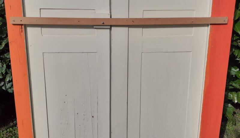 Pair of 19th-century cupboard doors and frame, woodwork
