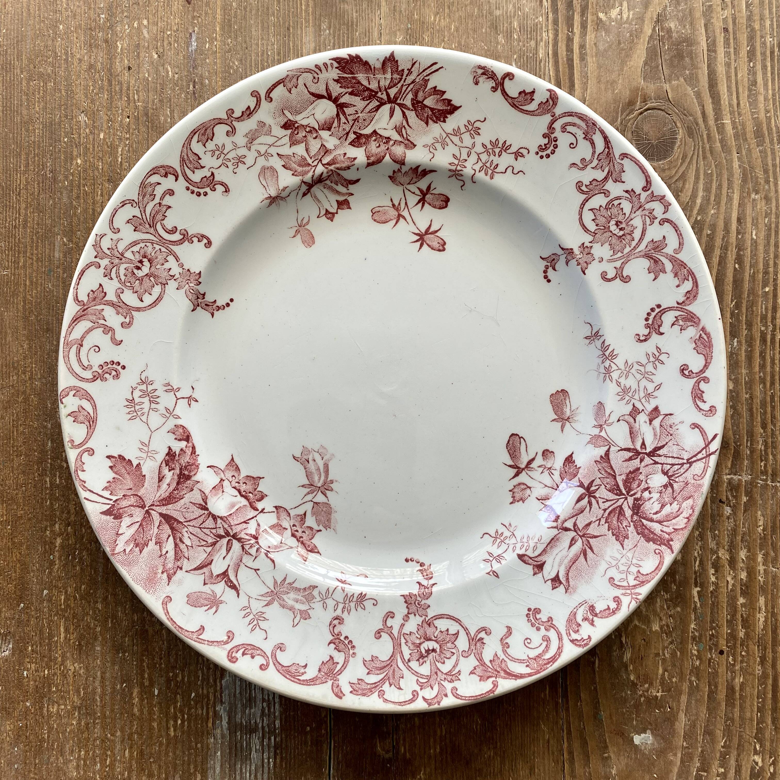 Assiette plate campanule rose x2