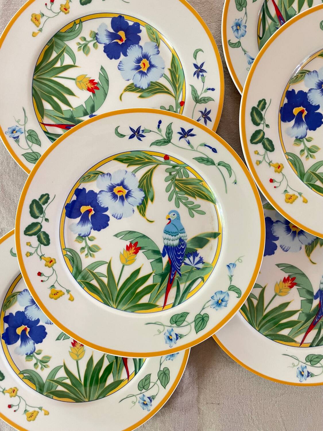 6 Dessert Plates Pier Import Model Ara