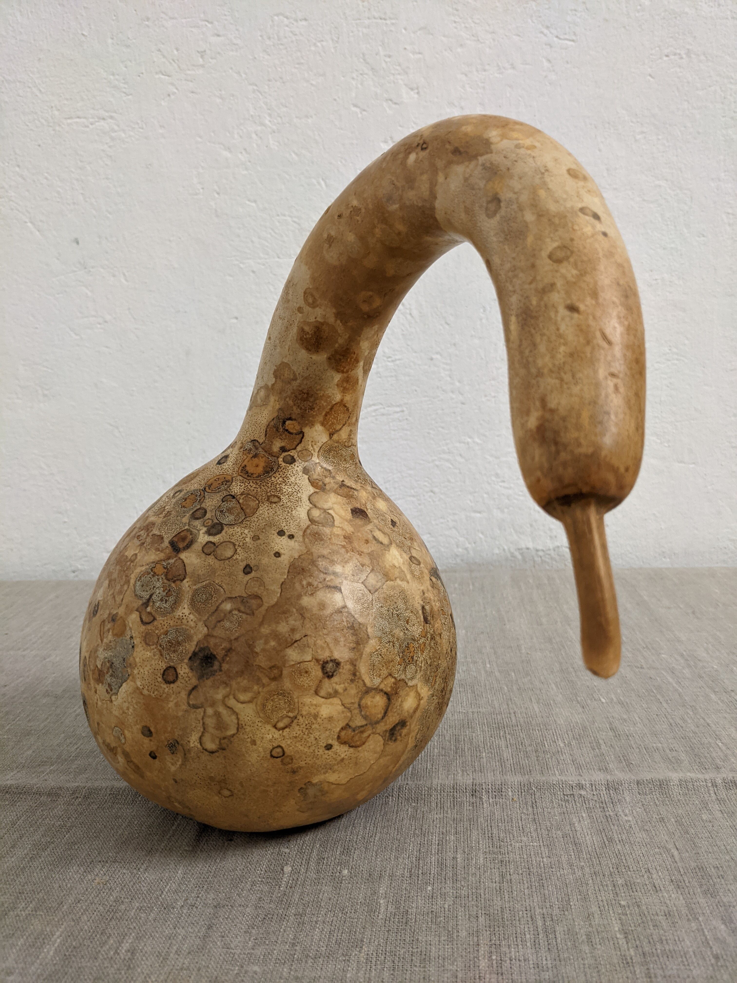 Set of 3 decorative dried coloquintes from the 70s