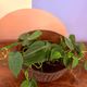 West Germany ceramic pot / bowl