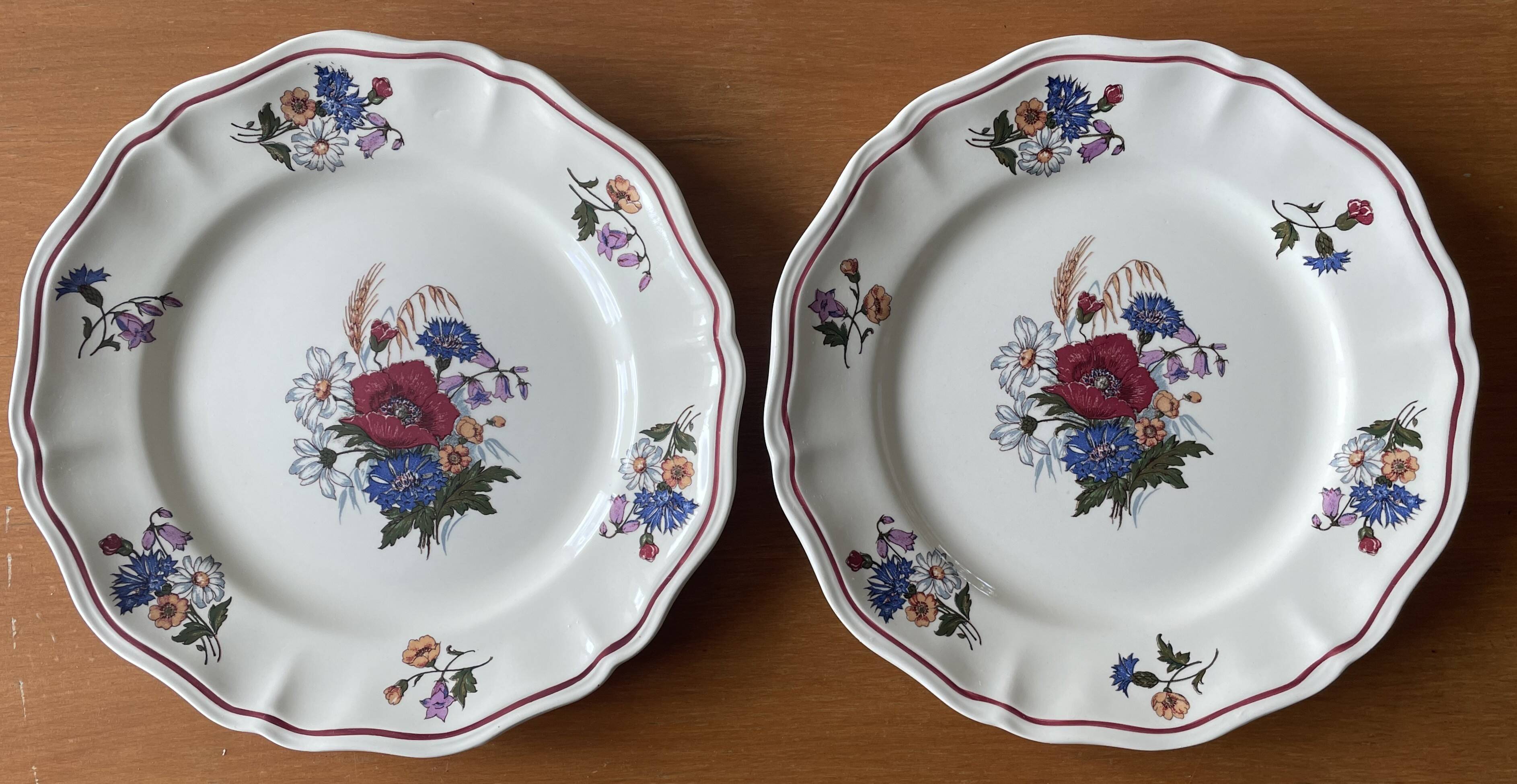 6 large flat antique plates in Sarreguemines earthenware