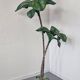 "Palm Tree" floor lamp attributed to Sergio Terzani, 1970s.