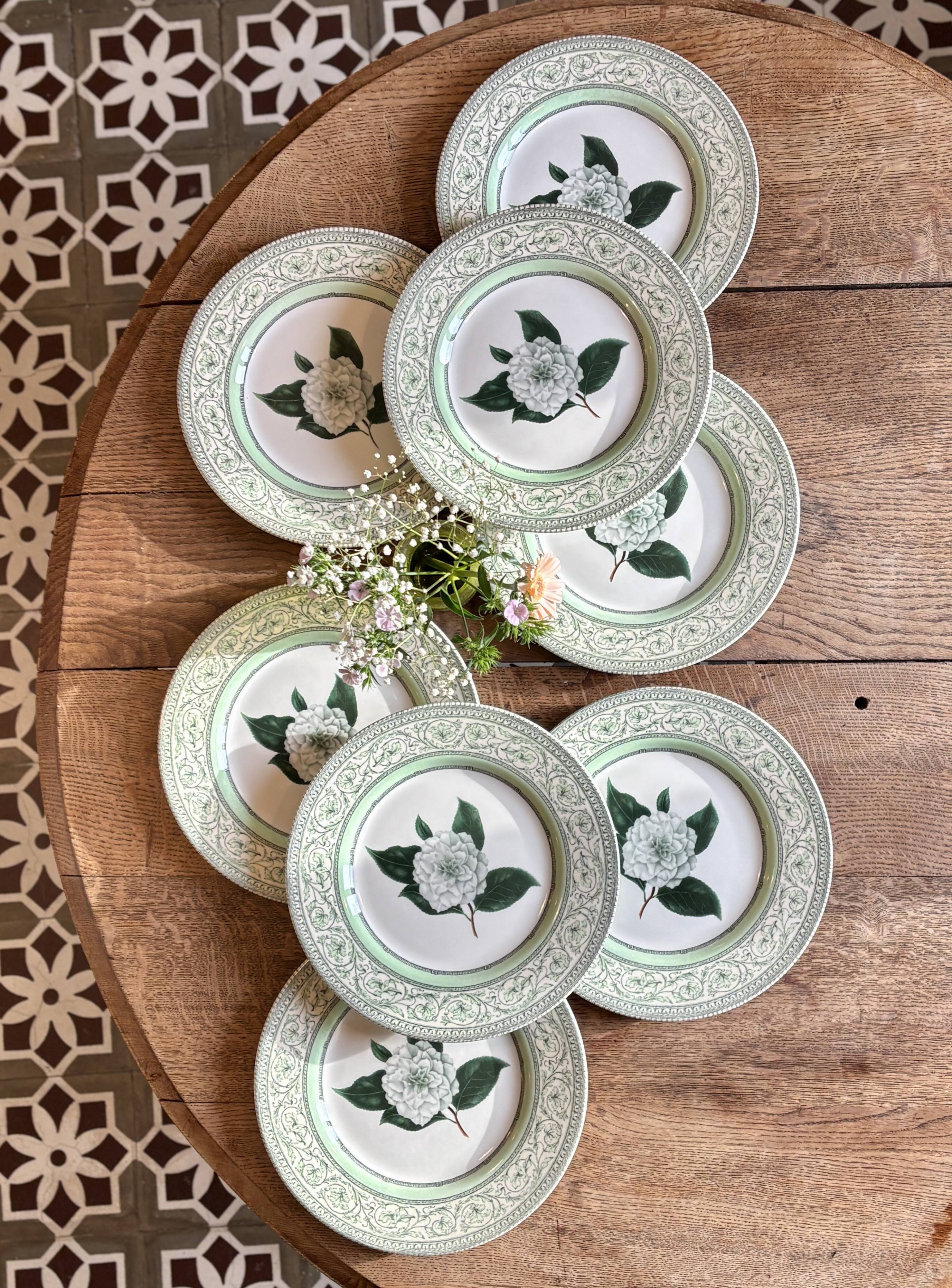 Lot de 8 assiettes plates Camélia - en porcelaine Anglaise