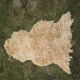 Pink sheep skin