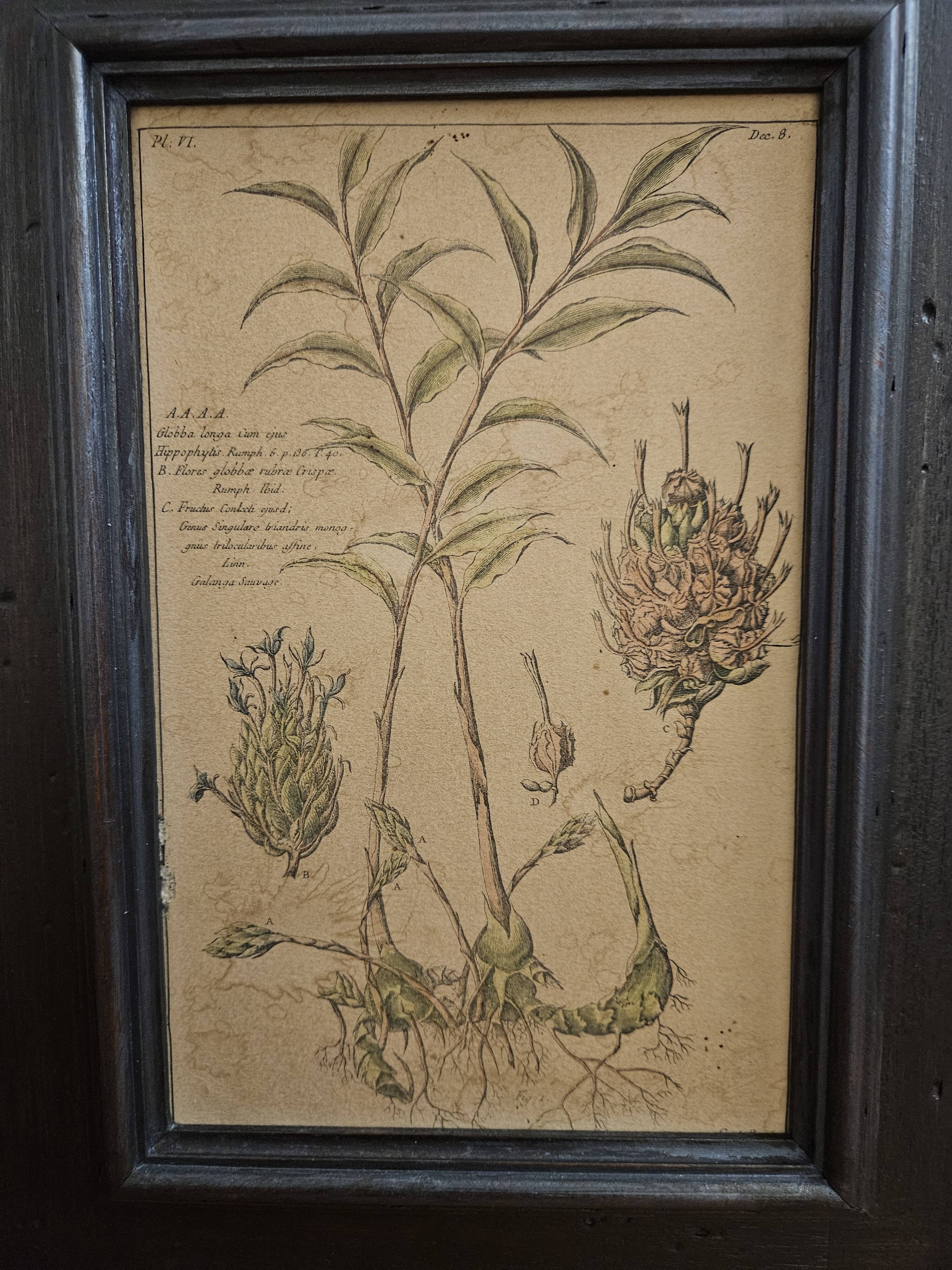 Framed Botanical Board Table