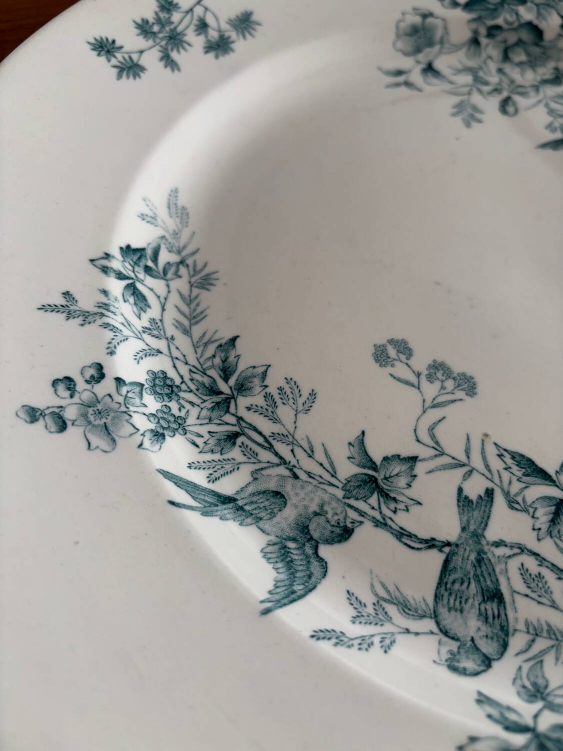 Round plate Longwy model Mignon – Antique earthenware with floral and bird decoration.