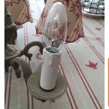 Lustre with 5 branches in bronze and grey, Gustavo style, lampshade in toile de Jouy.