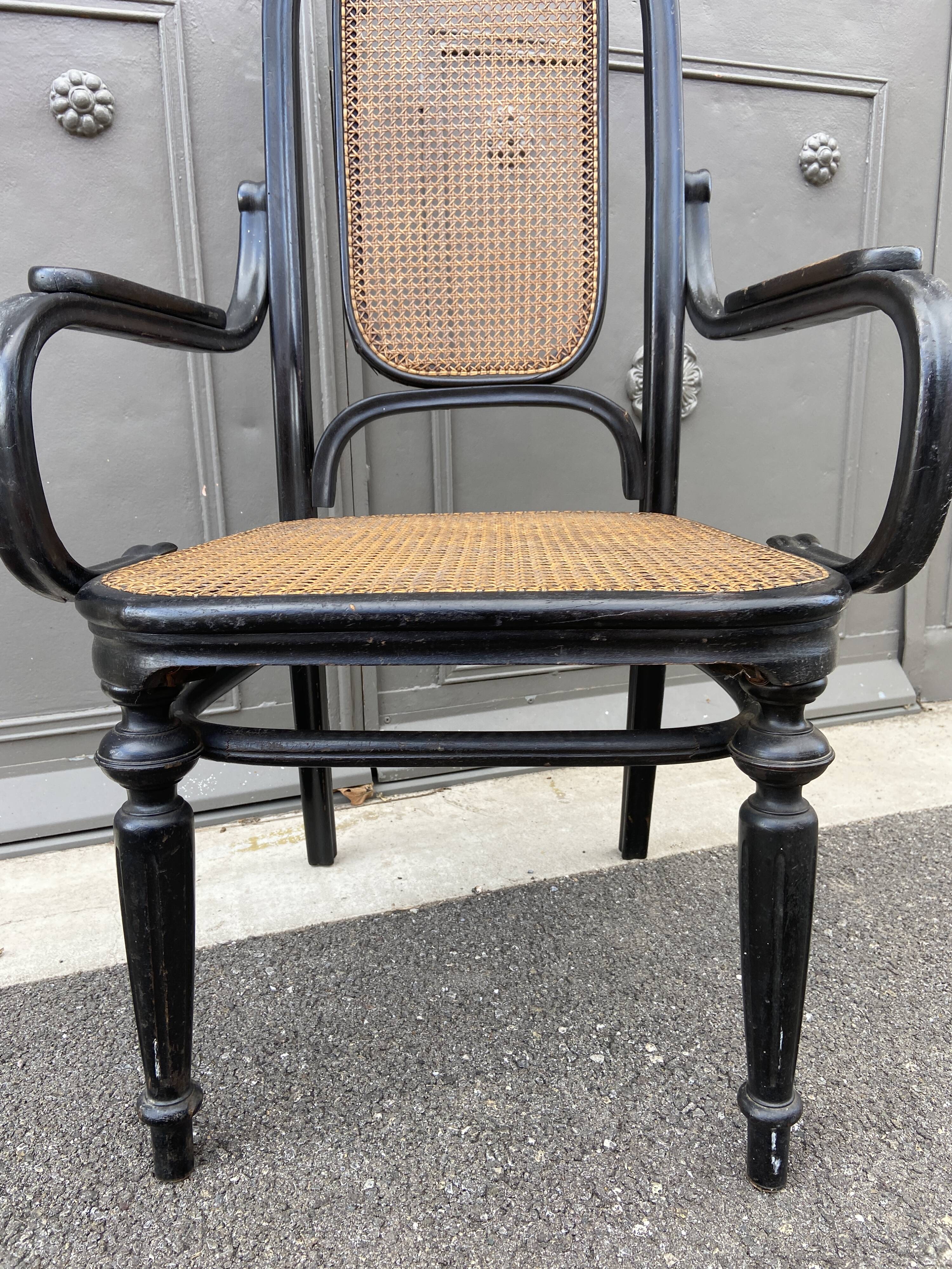 Curved wooden armchair Thonet Nr 1032