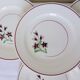 4 vintage flat plates from the Salins factory 210638