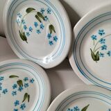 6 assiettes à dessert vintage Quadrifoglio italiennes décor myosotis