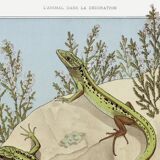 Poster “Lizard”, after an Art Nouveau lithograph from 1897