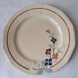 Set of 11 plates model 5041 Digoin Sarreguemines. Vintage ironstone
