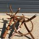 Dark baumann parrot coat rack (a6)