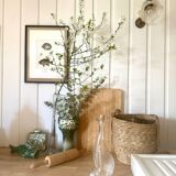 Fish carafe
