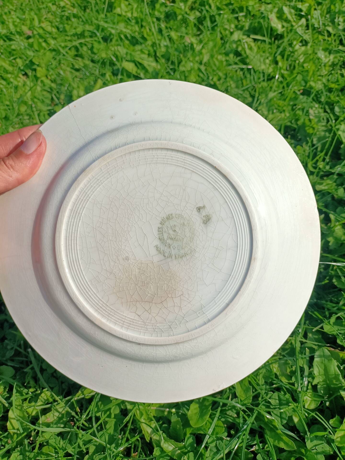 Set of stamped plates 🌻