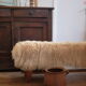 Animal skin