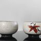 Vintage ceramic tea cup duo