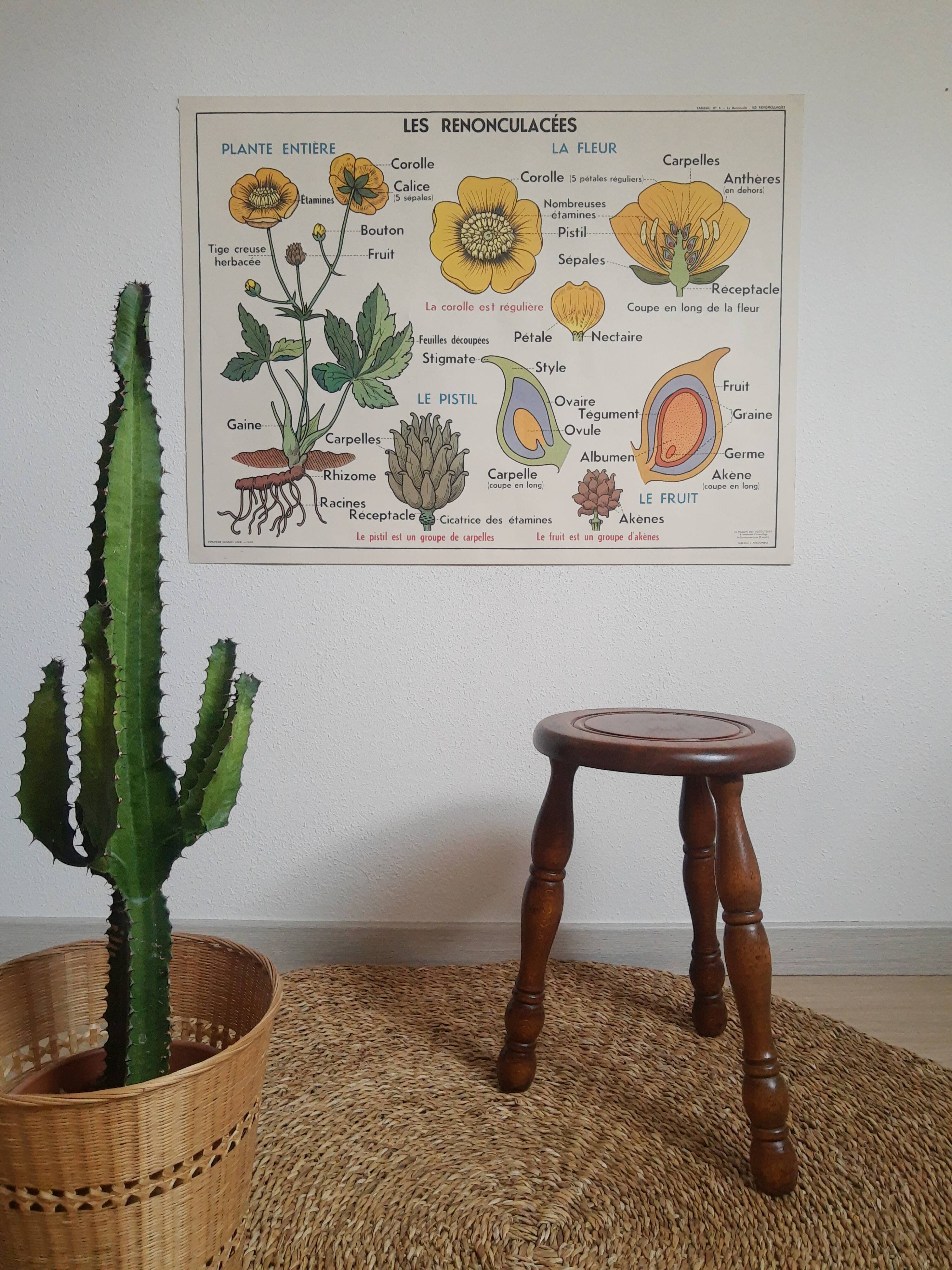 Vintage turned wood tripod country stool