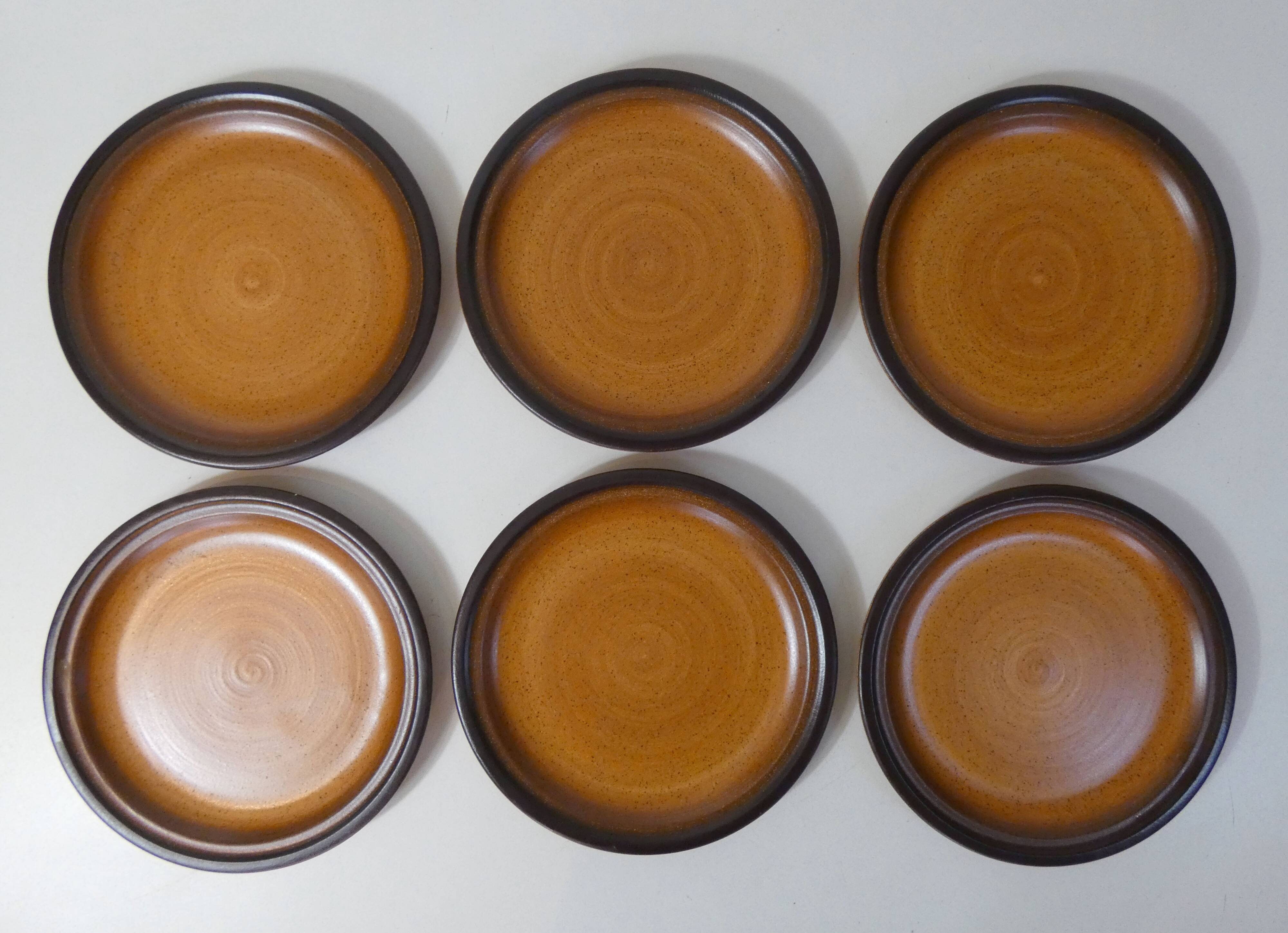 6 stoneware dinner plates