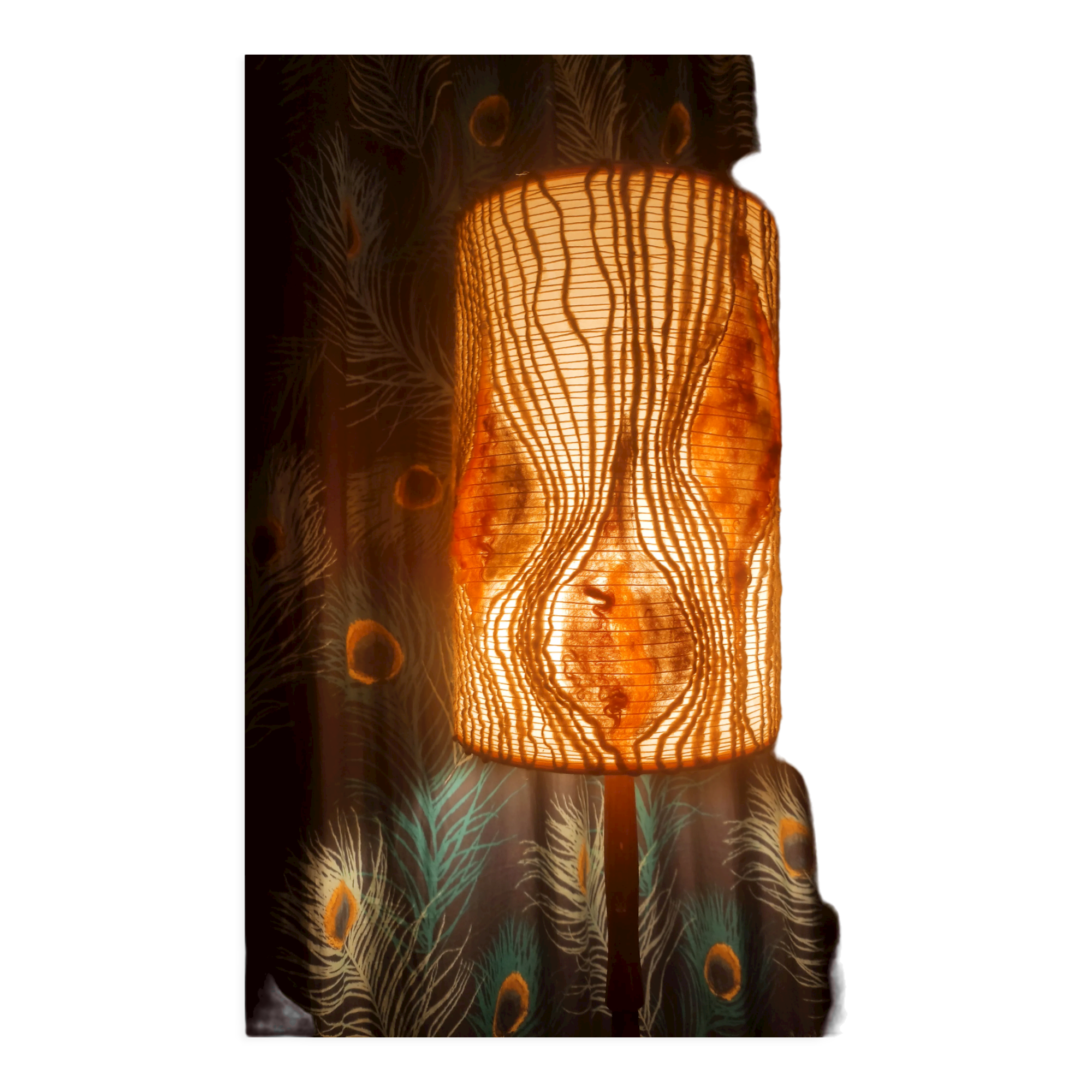 Scandinavian teak floor lamp