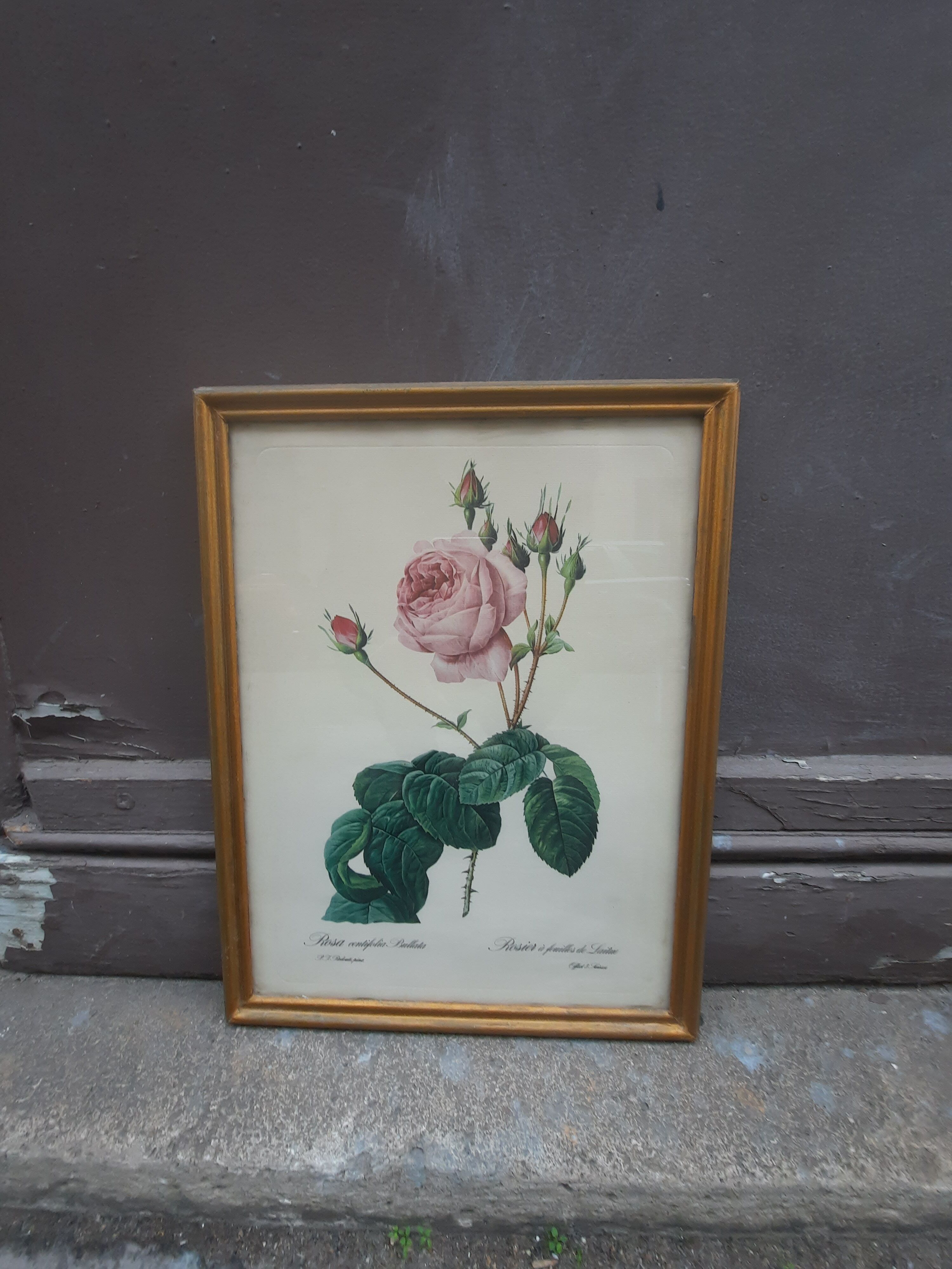 Pink botanical board