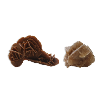 Lot of 2 sand roses