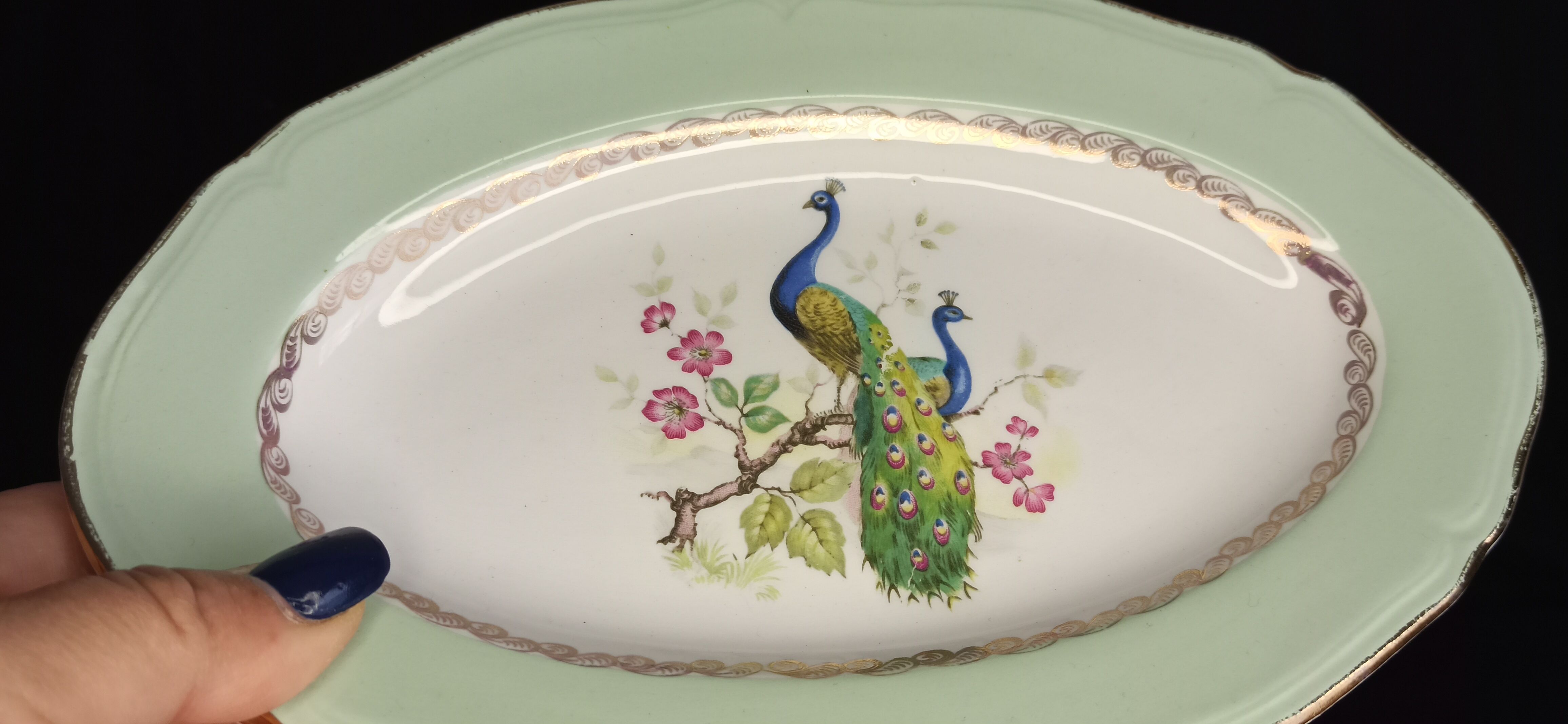 Raviers - Peacock décor - L'Amandinoise