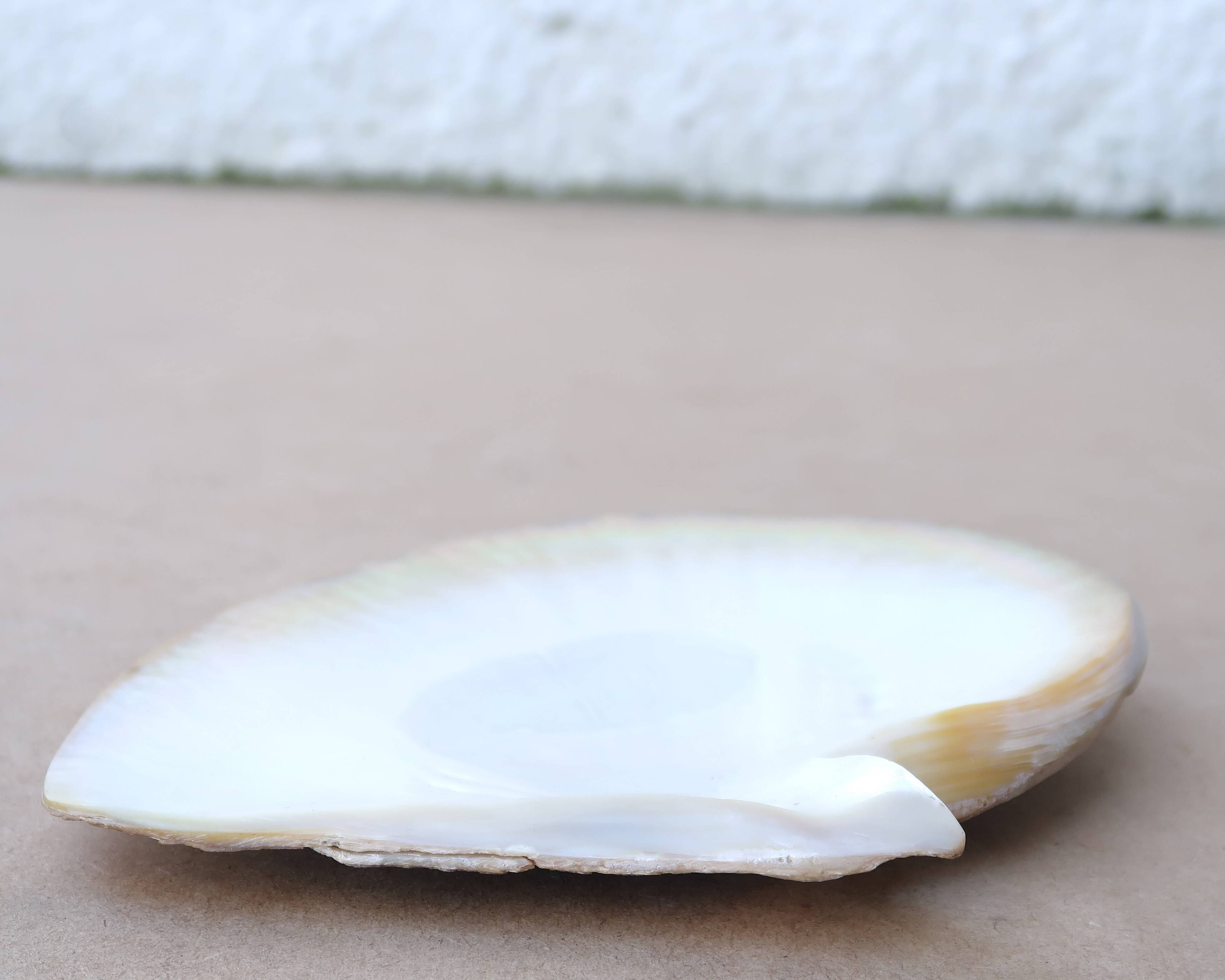 Natural pearl oyster mother-of-pearl pocket emptier, 1970s
