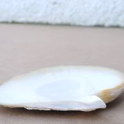 Natural pearl oyster mother-of-pearl pocket emptier, 1970s