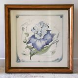 Iris flower on paper with vintage wooden frame