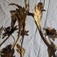 Rare suspension / antique chandelier with 5 lights - Flowers & Foliage in gilded metal