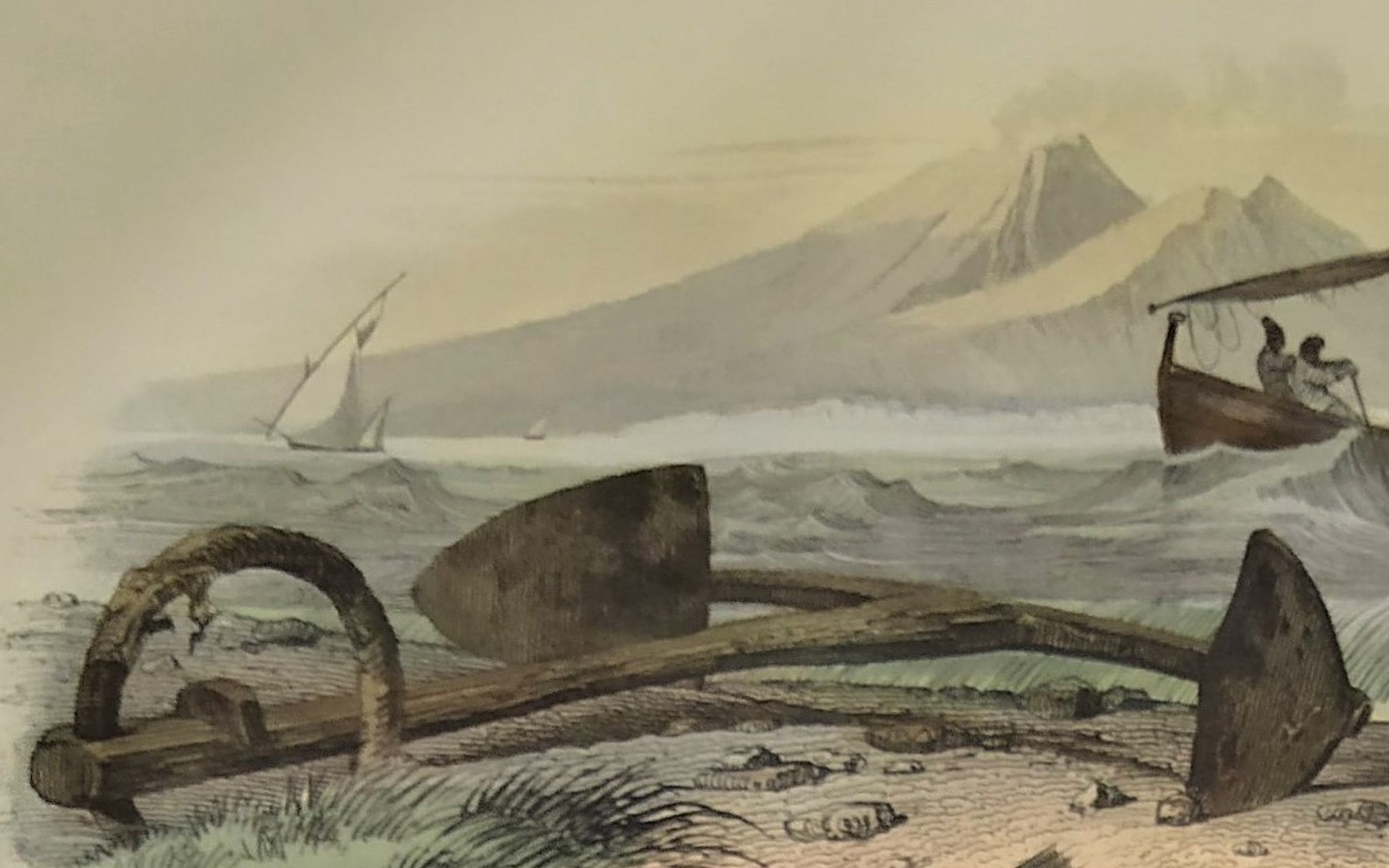 Original zoological plate of 1839 "tuna & mackerel"
