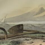 Original zoological plate of 1839 "tuna & mackerel"