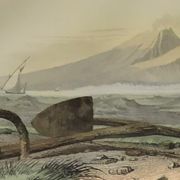 Original zoological plate of 1839 "tuna & mackerel"