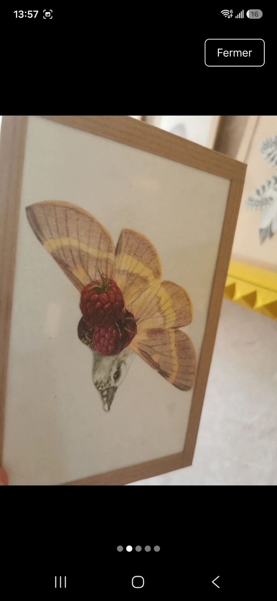 Collage Raspberry