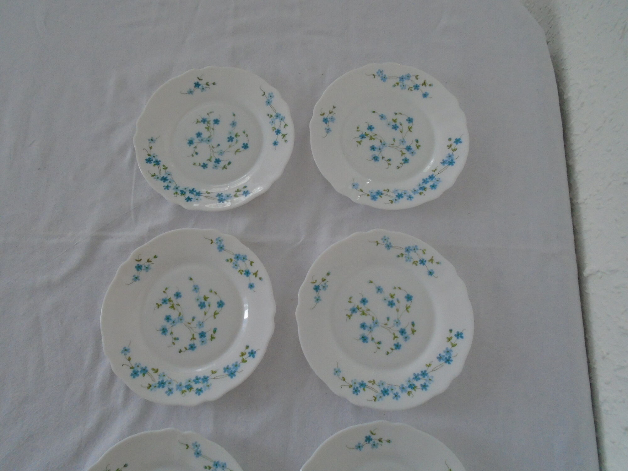 6 plates desserts veronica blue flowers myosotis arcopal france