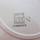 6 flat plates from the Cambridge 210309 Salins factory