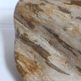 Free form sculpture in fossil wood
