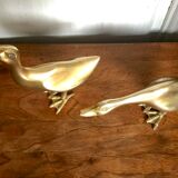 Brass duck couple