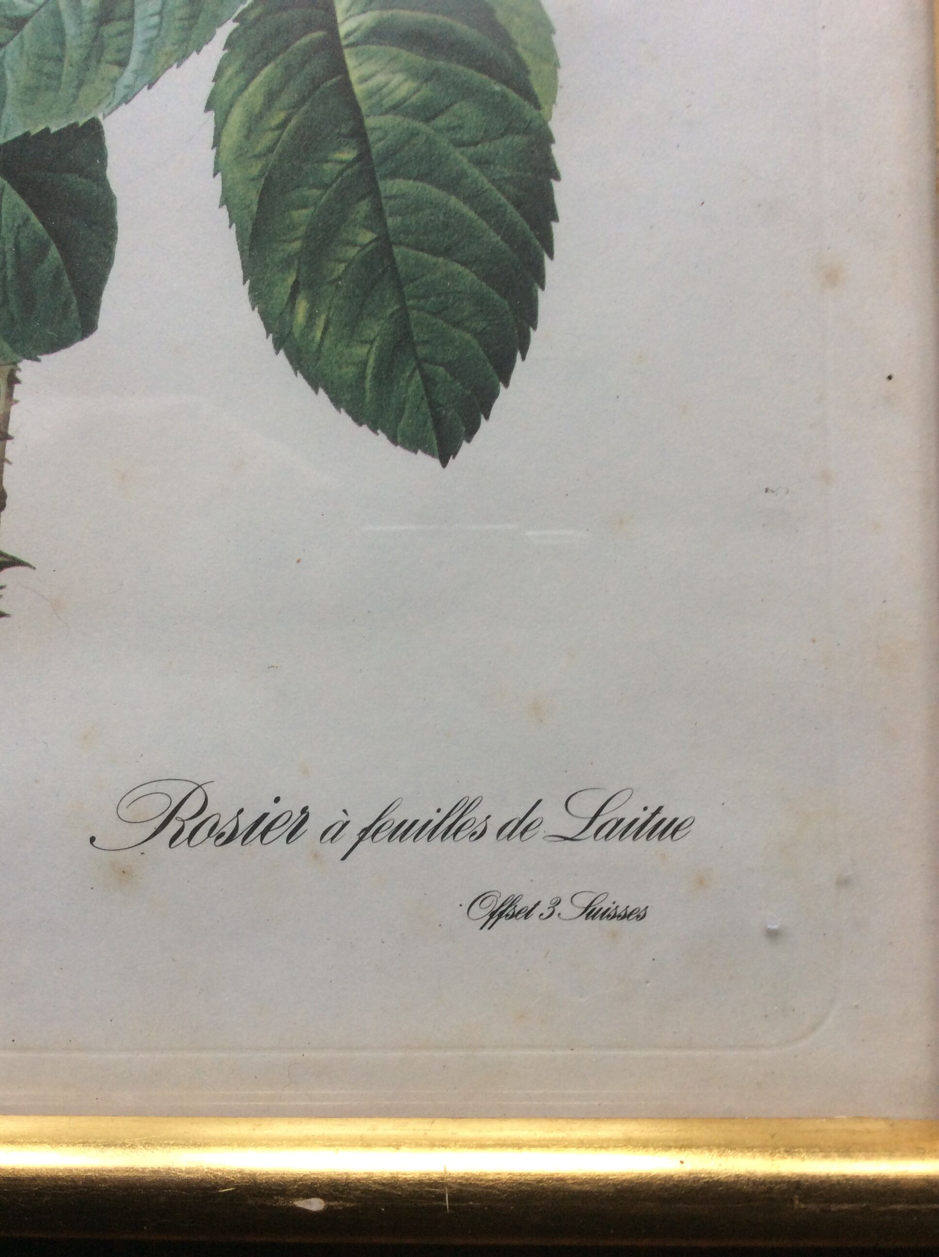 Dreaded "pink" engraving