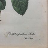 Dreaded "pink" engraving