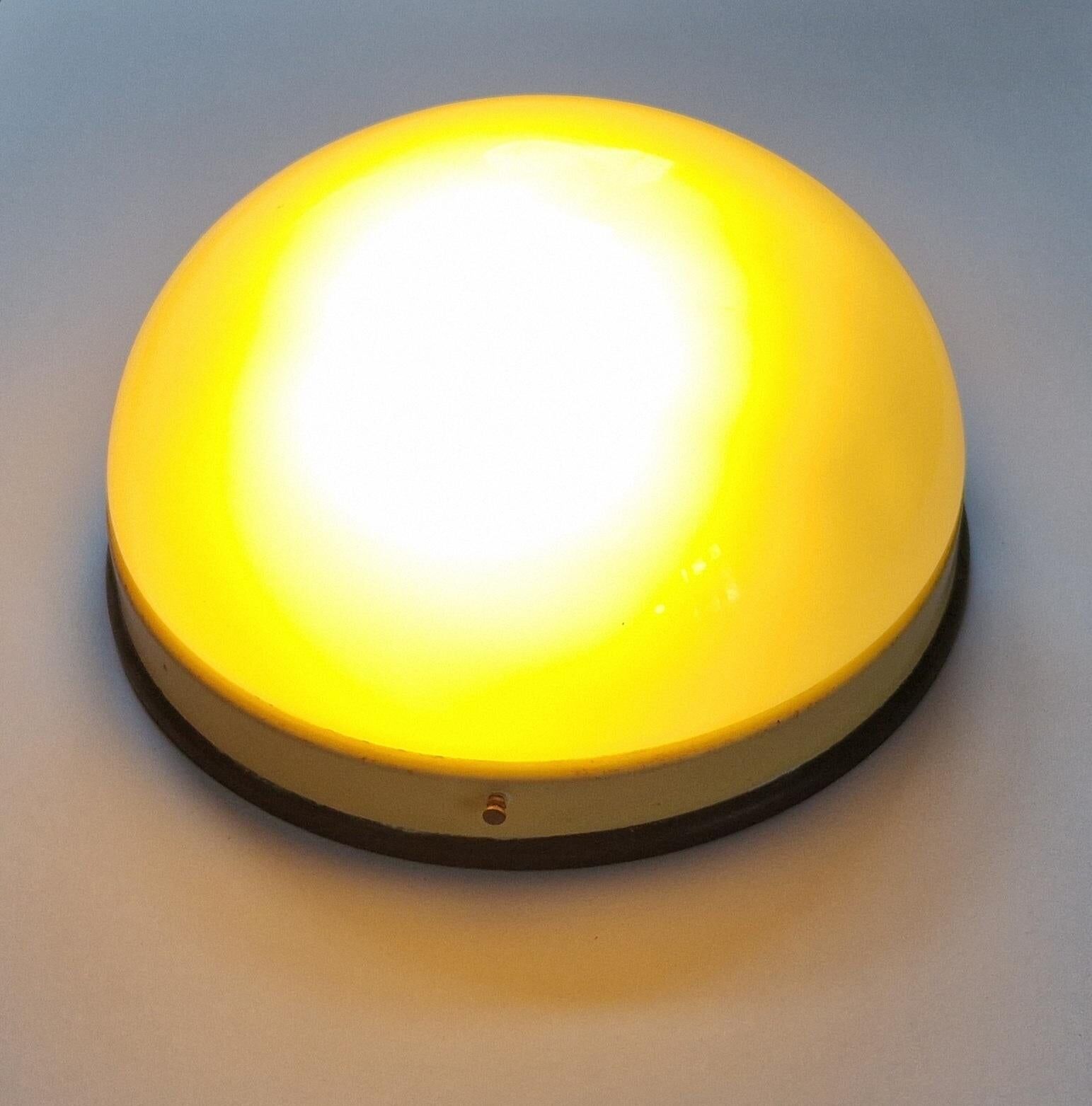 Pair of Midcentury Wall or Ceiling Lamps, Flush Mount, 1950s