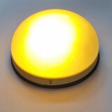 Pair of Midcentury Wall or Ceiling Lamps, Flush Mount, 1950s