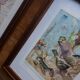 Lithographie originale sur les insectes