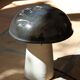 Very beautiful mushroom lamp