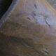 Carved antique tree stump coffee table with circular glass top