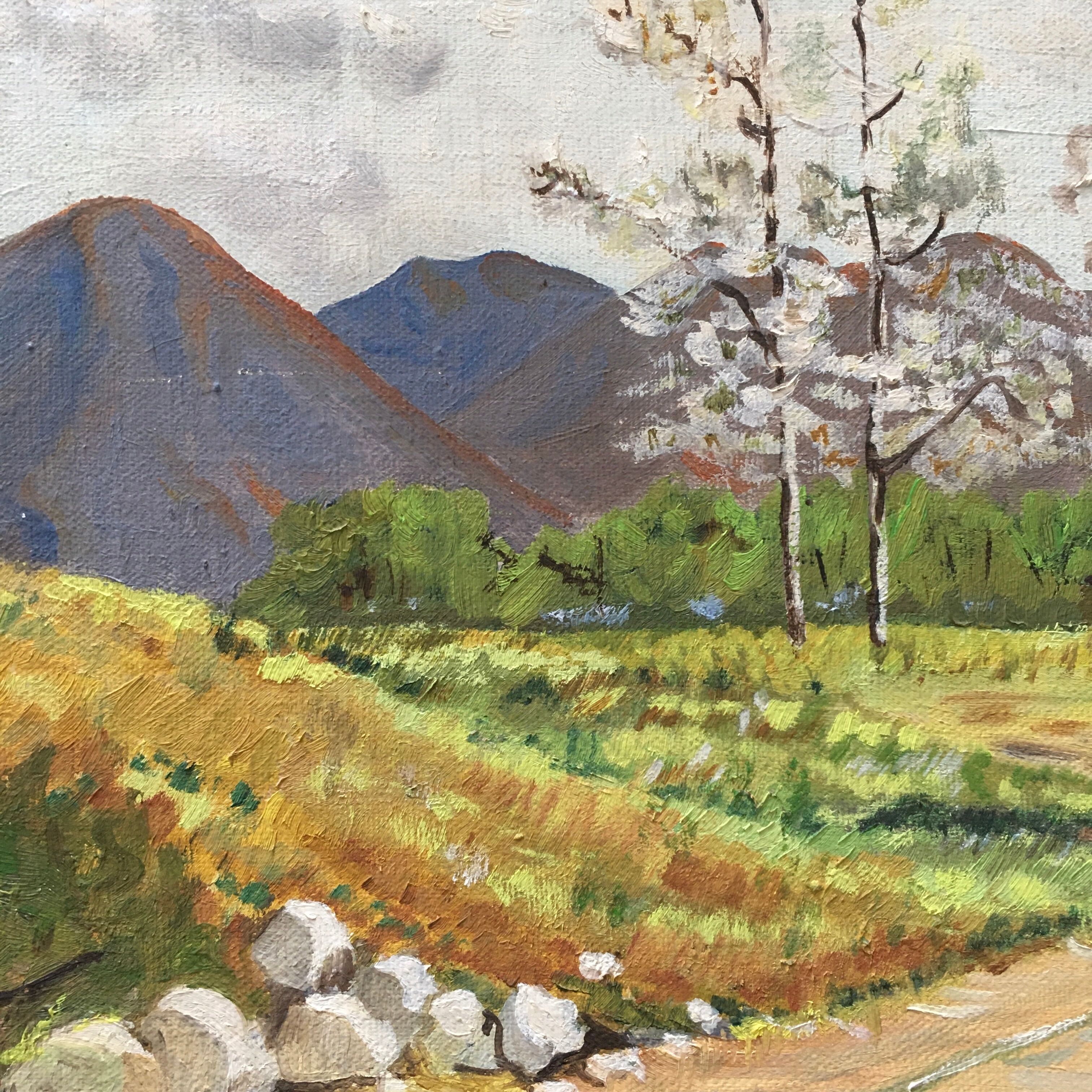 Mountain ranch board